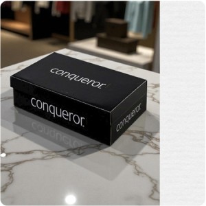 ENVELOPES - Laid.01006, WINDOW=No, TYPE=Wallet, TINT=BrilliantWhite, DL-110x220mm, QUANTITY=500 